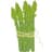 asparagus61