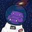 SpaceHippo