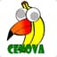 CenovA
