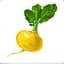 aYellowTurnip