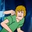 Shaggy