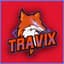 TraviX