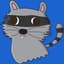 Ghostraccoon