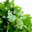Coriander
