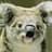 Crazy Koala