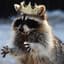 RaccoonKing