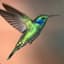 Colibri