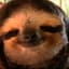 Sloth534