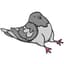 Sitting Pigeon