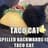 Tacocat