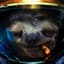 SargeSloth