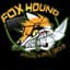 Fox Hound