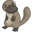 Platypus