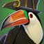 Captain Toucan