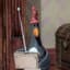 Feathers McGraw