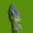 Eat My Asparagus