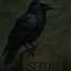 S cRow