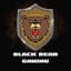 Black Bear Gaming