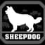 SheepDog01