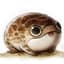 Desert Rain Frog