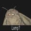 MothMan