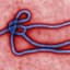 Ebola