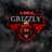 Gr1zzlyX