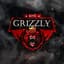 Gr1zzlyX