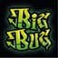 BigBug_33