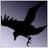 Crow
