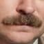 muskymustache