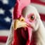 Democracy Chicken
