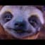 DSloth