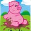 oinkypig
