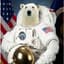 ThePolarBearInSpace