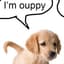 ⛧ouppy⛧
