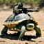Combat Turtle