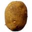 Potato