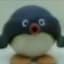 Pingu