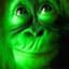 Greenmonkey