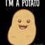 Potato