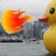 Fire Breathing Rubber Ducky