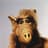 Alf