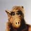 Alf