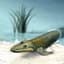 Return to Tiktaalik