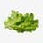 Lettuce