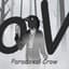 oV Paradoxal Crow