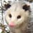PossumLord