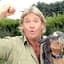 lI Steve Irwin Il