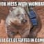 Combat Wombat